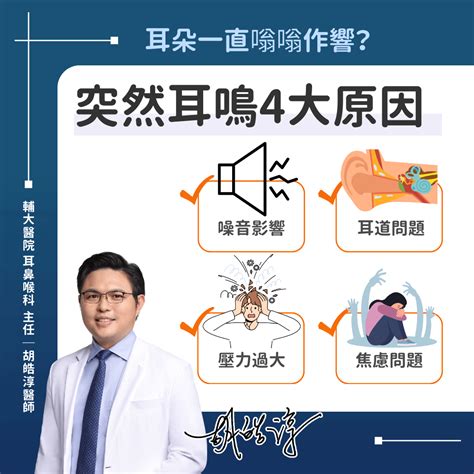 單側耳鳴原因|耳鳴怎麼辦？耳鼻喉科醫師解析原因、治療、解決方法